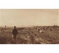 IPLUPJDY Vintage Wall Art Canvas Image Artwork Print Poster the Marshes in June by Peter Henry Wall Art Paintiing for Home Decor 60x90cm