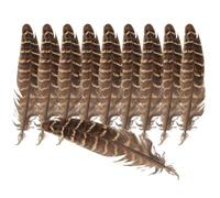 iplusmile 1 Bag Pheasant Plumes Natural Craft Materials for DIY Dream Catcher Accessories Bulk Plumage for Crafts Wedding Party Decorations