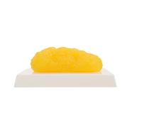 iplusmile 1 lb Human Body FatReplica - Realistic Soft Tissue Model with Stand, Motivational Weight Loss & Nutrition Education Tool for Gym, Clinic, Home