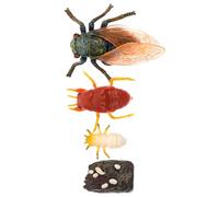 iplusmile 1set Cicada Growth Cycle Simulation Models Educational Display Toys for Boys and Girls Realistic Nature Fun Science Learning Tool Multi-purpose and Teaching Aid