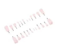 iplusmile 24pcs Typodont Model for Training and Practice with 24 Full Permanent Teeth, Removable Teeth Design Secured by Screws, Resin and Metal Construction, for Human Anatomy Education
