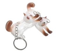 iplusmile 2pcs Cat Hair Memorial Keychain Set Pet Hair Storage Box with Ragdoll Cat Pendant Keepsake Organizer and Memorial