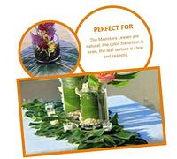 iplusmile 30pcs Artificial Monstera Leaves Lightweight Simulated Leaf Adornments for Hawaiian Dinner Party Decor Natural Color with Clear Texture for DIY Home and Event Decorations