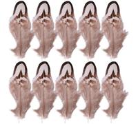 iplusmile 50pcs Natural Plumage Accessory Photograph Prop Brown Plume, Not Easy to Shed Hair or Fade, for Home Decoration, Birthday Party, Craft Lovers