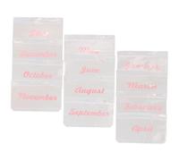 iplusmile A6 Pink 6-Ring Binder Refill Pockets with Zipper, Budget Binder Money Saving Envelopes, Loose Leaf Cash Organizer for Office and Finance Management