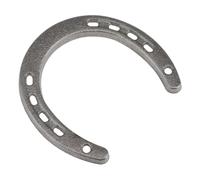 iplusmile Cast Iron Horseshoe Wall Ornament, Silver Metal Hanging Adornment for Indoor Home Decoration, Equestrian Theme with Good Luck Charm