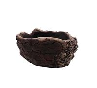 iplusmile Cement Succulent Flowerpot Small Plant Pot Imitation Tree Root Design Indoor Gardening Pot Single Piece Rustic Desktop Planter for Home Greenery Decoration