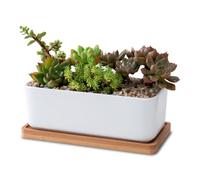 iplusmile Ceramic Oblong Flower Pot with Bamboo Tray White Succulent Planter for Balcony Small Flowers and Fleshiness Practical and Elegant Indoor Gardening Accessory