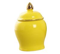 iplusmile Ceramic Tea Storage Canister with Airtight Seal Multi Function Household Container for Sugar Loose Leaf Tea Beans and Items Fresh Color Easy to Clean Kitchen Organizer Jar