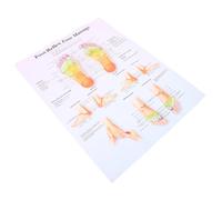 iplusmile Foot Reflexology Chart Poster Anatomy Massage Knowledge Art for Home Office Decoration Stain-resistant Easy to Clean Visual Aid for and Consultations