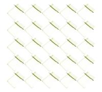 iplusmile Fruit Protection Bags Light Green with Drawstring Closure 50pcs Organza Fine Mesh Netting Pouches for Fruit Trees for Farming and Organic Gardening