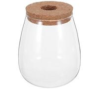 iplusmile Glass Hydroponic Flower Vase Hydroponic Glass Vase with Cork Bamboo Tray Base Wood Cork Stopper for Leaf Cuttings and Orchids Office Desktop