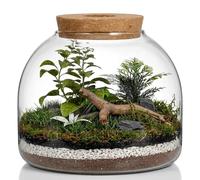 iplusmile Glass Plant Terrarium Tabletop Succulent Planter Easter Candy Cookie Jar Cute Canister Round Fish Bowl Vase Sealed Glass Bottles Vial with Cork Top for Craft