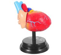 iplusmile Human Heart Anatomical Model with Layered Interactive Design and Mounted Display Base, Plastic Material, 19x12x11cm, for National Curriculum Lessons and Science Fairs