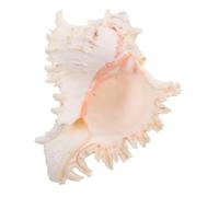 iplusmile Large Natural Conch Shell Vase Centerpiece for Home Decor Ocean Themed Party Dining Table Decoration Wedding Centrepiece Aquarium Ornament