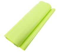 iplusmile Large Reptile Carpet Mat Substrate with Light Green Colour Eva Material Effective Cleaning and Easy Clean-up for Leopard and Bearded Dragon for Reptile Terrarium Or Glass