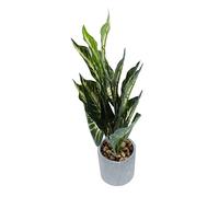 iplusmile Lifelike Monstera Bonsai Plant Artificial Indoor Decor Fake Palm Leaves Eye Relaxing Greenery for Home Office Balcony Study Fade Resistant Simulated Potted Plant Ornament