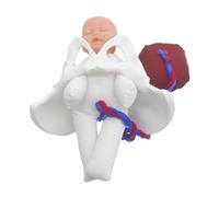 iplusmile Miniature Obstetric Pelvis Model with Fetus Umbilical Cord and Placenta Clinical Teaching Simulator for Prenatal Education Midwifery Training and Labor Demonstration in Medical