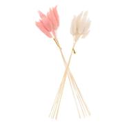iplusmile Rabbit Tail Grass Aroma Diffuser Sticks 20Pcs, Natural Dried Flower Reed Set with Pink and Beige for Household Fragrance