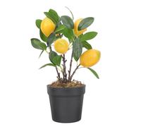 iplusmile Realistic Faux Lemon Pomegranate Bonsai Plant in Plastic Pot for Home Decor and Party Use, Artificial Indoor Plant to Stress and Enhance Room Ambience