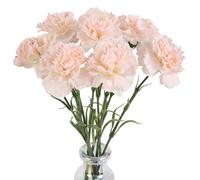 IPOPU Carnations Artificial Flowers 8pcs Real Touch Carnation Flowers Silk Flowers with Stems for Wedding Bouquets for Bridal Home Table Centerpieces Floral Arrangements (Champagne)