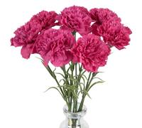 IPOPU Hot Pink Carnations Artificial Flowers 8pcs Real Touch Carnation Flowers Silk Flowers with Stems for Wedding Bouquets for Bridal Home Table Centerpieces Floral Arrangements (Hot Pink)