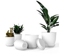 iPower Nursery Drainage Holes and Tray for All House, Succulents, Polypropylene (PP) Ceramic, Flowers, Cactus Or Seedling, White, Plastic Plant Pots