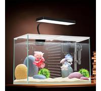 iPriro 3 Gallon 12.6" L Fish Nano Glass Aquarium, with Separator Plate for Betta, Multi-Functional Square Fish Tank with Filter, LED Light, White 4mm Glass