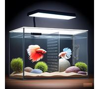 iPriro Black Transparent Rectangular 3 Gallon Fish Tank with LED Lights and Hanging Filter