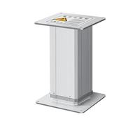 IPT1100 300mm Stroke Length Electric Height Adjustable Lifting Column DC24V MAX 2250N IPT1100DLGZ-300(1000N 9mm per S,24V)