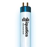iQuatics Aquarium Fish Tank Fluorescent Light Bulb T5, Aqua Blue 50:50, 39w 850mm 34"