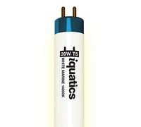 iQuatics Aquarium Fish Tank Fluorescent Light Bulb T5, White 14000k, 39w 850mm 34"