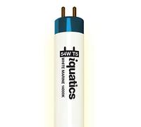 iQuatics Aquarium Fish Tank Fluorescent Light Bulb T5, White 14000k, 54w 1150mm 46”