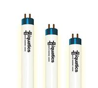 iQuatics Aquarium Tropical Fish Tank Fluorescent Light Bulb T5 (3 Pack), White 14000k, 24w 550mm 22"
