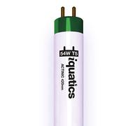 iQuatics Juwel Compatible Aquarium Fluorescent Light Bulb T5 (Single), Actinic, 54w 1200mm 48”