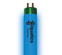 iQuatics Juwel Compatible Aquarium Fluorescent Light Bulb T5 (Single), Blue Plus, 24w 438mm 18"