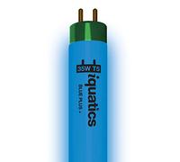 iQuatics Juwel Compatible Aquarium Fluorescent Light Bulb T5 (Single), Blue Plus, 35w 742mm 30”
