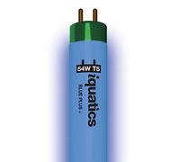 iQuatics Juwel Compatible Aquarium Fluorescent Light Bulb T5 (Single), Blue Plus, 54w 1200mm 48”
