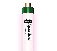iQuatics Juwel Compatible Aquarium Fluorescent Light Bulb T5 (Single), Tropical, 24w 438mm 18"