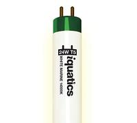 iQuatics Juwel Compatible Aquarium Fluorescent Light Bulb T5 (Single), White 14000k, 24w 438mm 18"