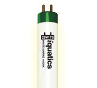 iQuatics Juwel Compatible Aquarium Fluorescent Light Bulb T5 (Single), White 14000k, 28w 590mm 24"