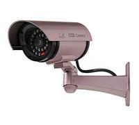 IR1100 Outdoor Brown Security Camera Camera CCTV Dummy with Flashing LED with Screws