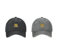 Iran Flag Cap, 2pcs Persian Flag Lion And Sun Baseball Cap, Make-Iran Great Again Hat, Adjustable Size Breathable Twill For Commuting Travel And Special Events Daily Wear Camping Fishing Hiking Golfin