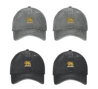 Iran Flag Cap, 4pcs Make-Iran Great Again Hat, Lion And Sun Flag Hats For Men, Old-Fashioned Iranian Persian Men's Hats & Sun Caps, Qajar Dynasty Trucker Cap For Friends, Adults, Women Outdoor Commute