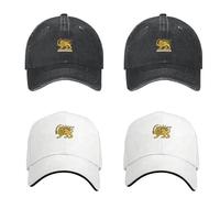 Iran Flag Cap, 4pcs Persian Flag Lion And Sun Baseball Cap, Make-Iran Great Again Hat, Adjustable Size Breathable Twill For Commuting Travel And Special Events Daily Wear Camping Fishing Hiking Golfin