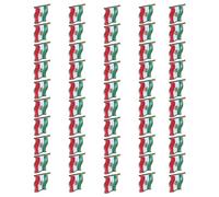 Iran Flag Lapel Pin with Sturdy Iron Alloy Base and Epoxy Coating for Formal Attire and Diplomatic Event Iran Flag Pin