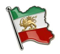 Iran Flag Pin Bulk Stainless Stell Old Persian Iranian Map Lapel Brooch Heritage Jewelry Clothes Accessories Souvenir Series Badge Gifts for Women Men (Iran flag and map silver 3)