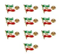 Iran Lions Flag Stainless Steel Brooch Sturdy and Shining Vintage Iran Souvenir Accessory for Formal or Casual Wear National Lions Symbol Badge for Travel