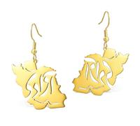 Iran Map Earrings with Peace Dove/Embrace/Flag Color CZ Stainless Steel Iranian Patriotic Dangle Earrings Persian Jewelry Gift for Women (Gold 6)
