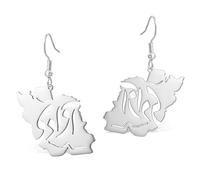 Iran Map Earrings with Peace Dove/Embrace/Flag Color CZ Stainless Steel Iranian Patriotic Dangle Earrings Persian Jewelry Gift for Women (Silver 6)